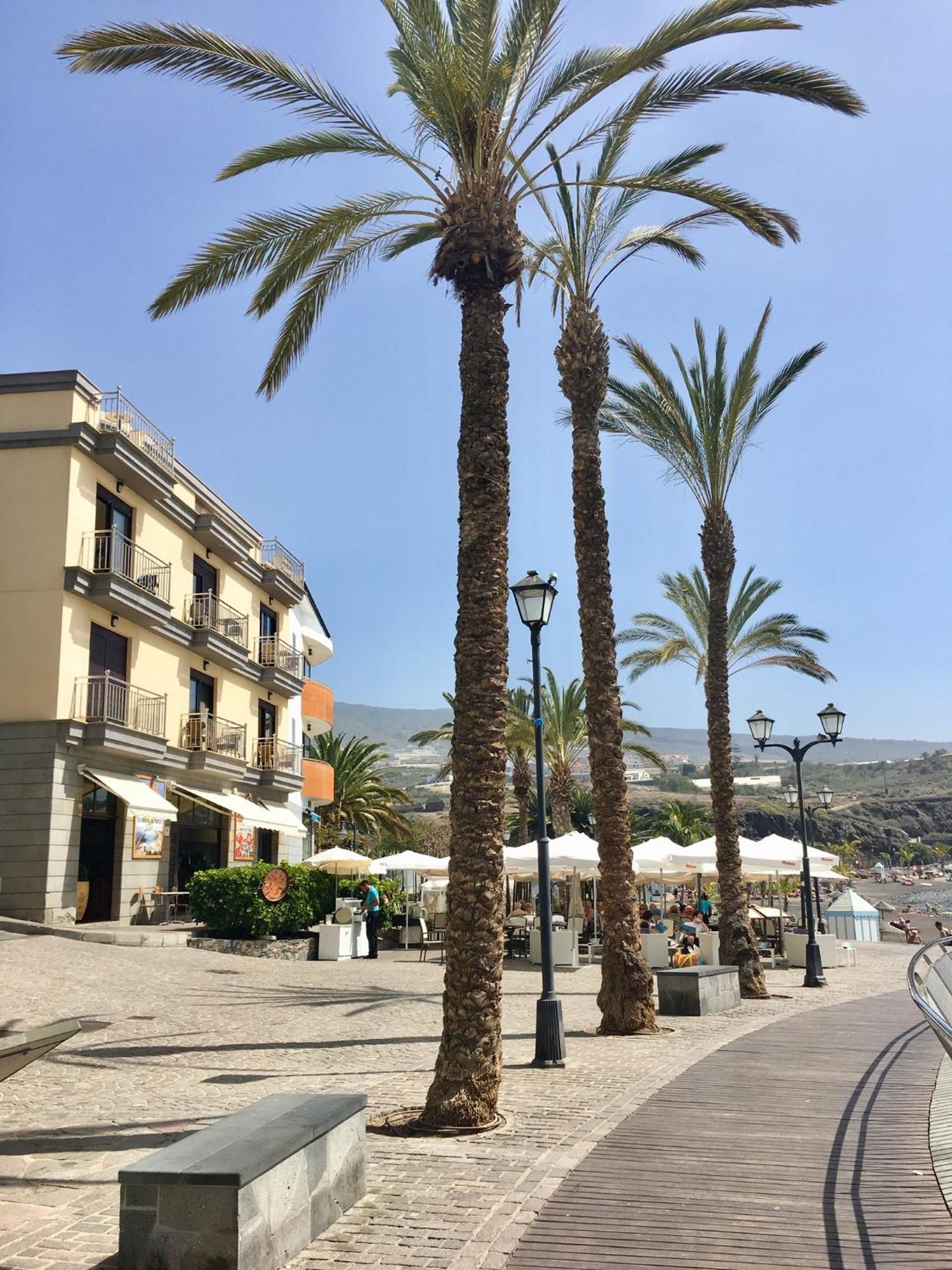 Number 5 At The Marina, Playa San Juan, South Tenerife Vv-A38-4-7457 Exteriör bild